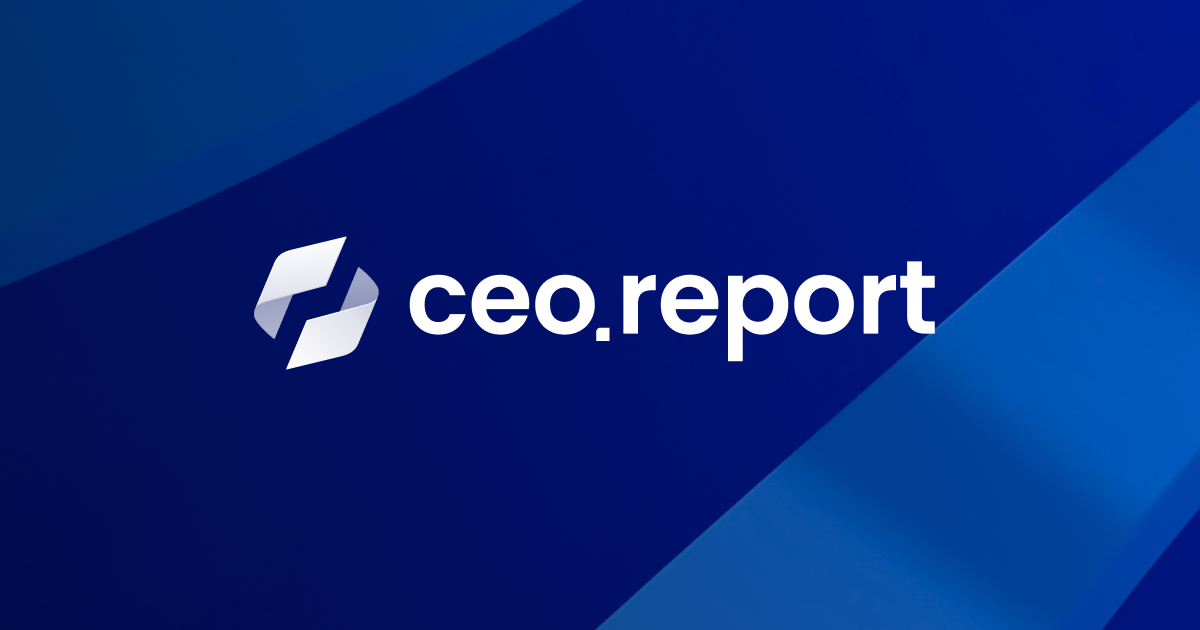 CEO Report | 재무제표 분석 · 기업 경영 진단 서비스